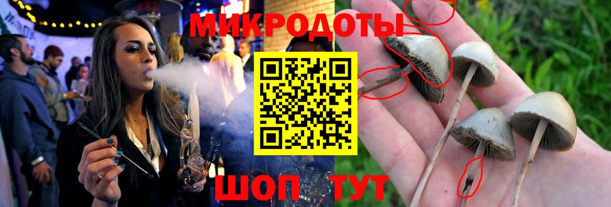 Галлюциногенные грибы Cubensis  Вход с VPN  Галлюциногенные грибы GOLDEN TEACHER  Городец 